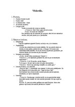 Konspekts 'Vīskreļa un Sutkas tēli R.Blaumaņa lugā "Ugunī"', 2.