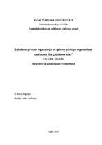 Referāts 'Ražošanas procesa organizācija un galveno principu organizēšana uzņēmumā SIA "Al', 1.