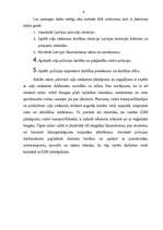 Referāts 'Inspektora darbība ceļu satiksmes uzraudzībā', 5.