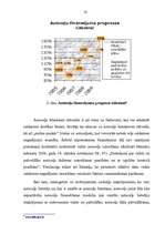 Referāts 'Inspektora darbība ceļu satiksmes uzraudzībā', 9.