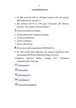 Referāts 'Inspektora darbība ceļu satiksmes uzraudzībā', 50.