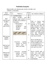 Konspekts 'Pārvēliens sānis, akrobātika', 1.