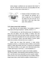 Referāts 'Vēdera priekšējās sienas trūce', 24.