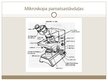 Prezentācija 'Mikroskops - gaismas staru laušanas ierīce', 8.