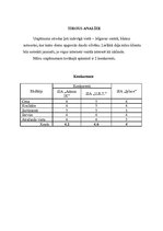 Biznesa plāns 'Uzņēmums SIA "Iplace"', 6.