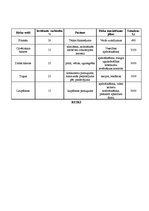 Biznesa plāns 'Uzņēmums SIA "Iplace"', 8.
