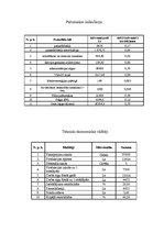 Biznesa plāns 'Uzņēmums SIA "Iplace"', 14.
