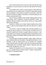 Referāts 'Patstāvīgais pētījums - stereotips "blondīne"', 7.