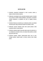 Referāts 'Simbolisma nozīme modernās mākslas izpratnē', 12.