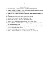 Referāts 'Kā es varu palīdzēt bērniem ar garīgās attīstības traucējumiem', 13.