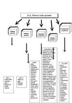 Referāts 'Daktioloskopija', 14.