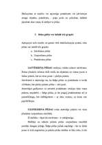 Referāts 'Daktioloskopija', 24.