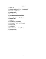 Referāts 'Lentas konveijera projektēšana', 2.