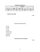 Referāts 'Lentas konveijera projektēšana', 18.