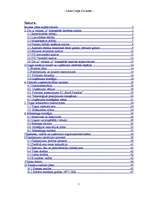 Referāts 'Biznesa plāns', 1.