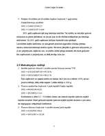 Referāts 'Biznesa plāns', 7.