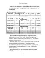 Referāts 'Biznesa plāns', 8.