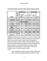 Referāts 'Biznesa plāns', 9.