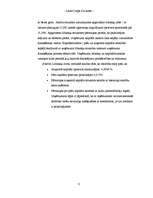 Referāts 'Biznesa plāns', 11.