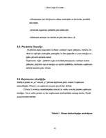 Referāts 'Biznesa plāns', 16.