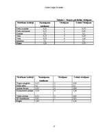 Referāts 'Biznesa plāns', 17.