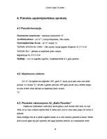 Referāts 'Biznesa plāns', 19.