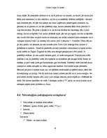 Referāts 'Biznesa plāns', 20.