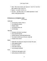 Referāts 'Biznesa plāns', 21.