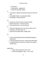 Referāts 'Biznesa plāns', 22.