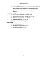 Referāts 'Biznesa plāns', 23.