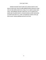 Referāts 'Biznesa plāns', 25.