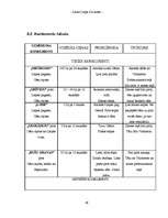 Referāts 'Biznesa plāns', 26.