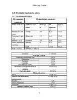 Referāts 'Biznesa plāns', 32.