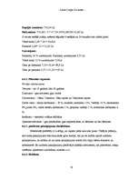 Referāts 'Biznesa plāns', 33.