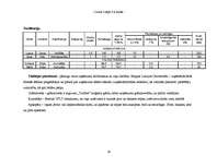 Referāts 'Biznesa plāns', 38.