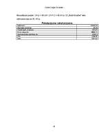 Referāts 'Biznesa plāns', 40.