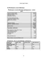 Referāts 'Biznesa plāns', 41.