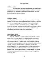 Referāts 'Biznesa plāns', 42.