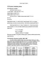 Referāts 'Biznesa plāns', 47.