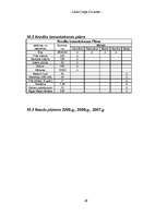 Referāts 'Biznesa plāns', 49.