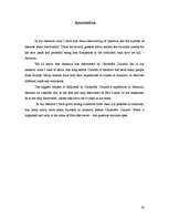 Referāts 'Amerikas daudzdimensionālā atklāšana', 19.