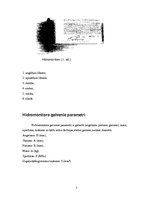 Konspekts 'Hidromonitori, kustīgie bloki', 2.