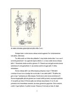 Konspekts 'Hidromonitori, kustīgie bloki', 5.