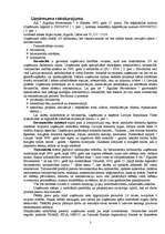 Prakses atskaite 'A/s "Siguldas būvmeistars" finanšu grāmatvedība', 3.