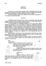 Eseja 'Rīta rosme', 1.