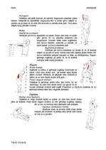 Eseja 'Rīta rosme', 2.