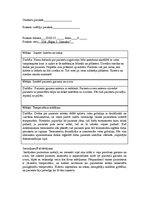 Prakses atskaite 'Prakses dienasgrāmata medmāsām', 4.