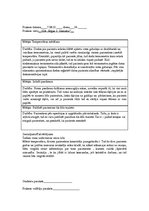 Prakses atskaite 'Prakses dienasgrāmata medmāsām', 20.