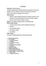 Referāts 'Tardigradu pētniecība', 3.