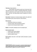 Referāts 'Tardigradu pētniecība', 5.